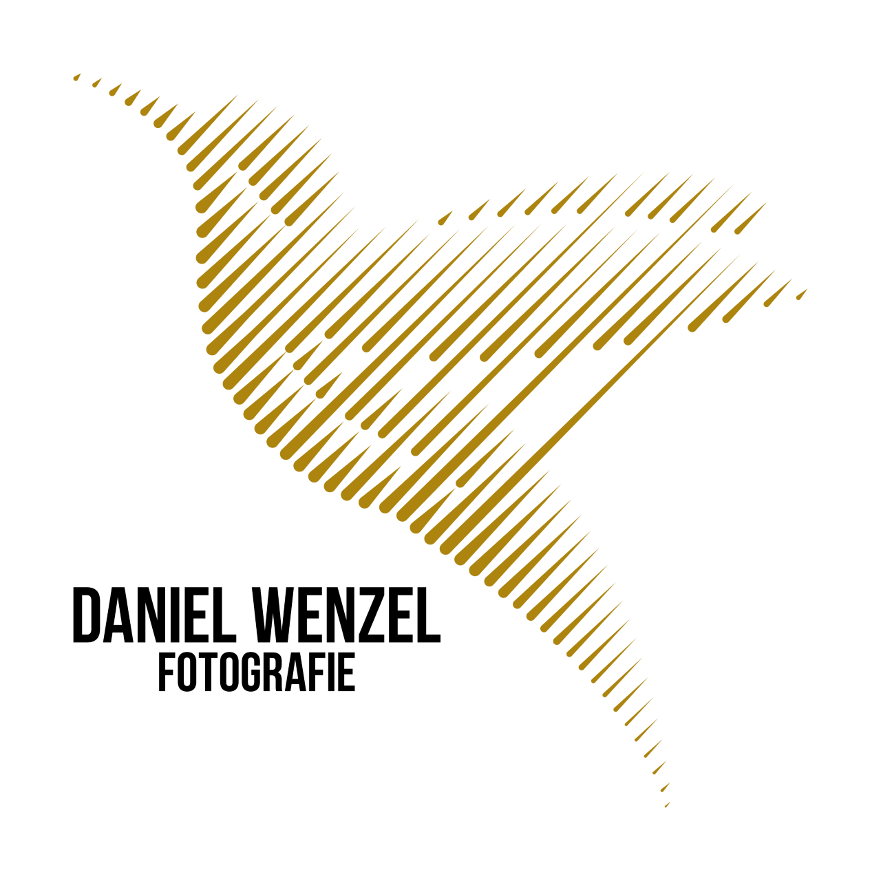 Daniel Wenzel Fotografie